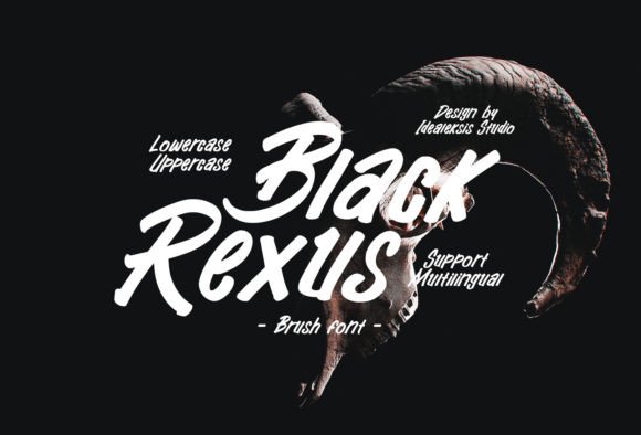 Choosing Black Rexus: A Font That Makes Your Business Look Polished