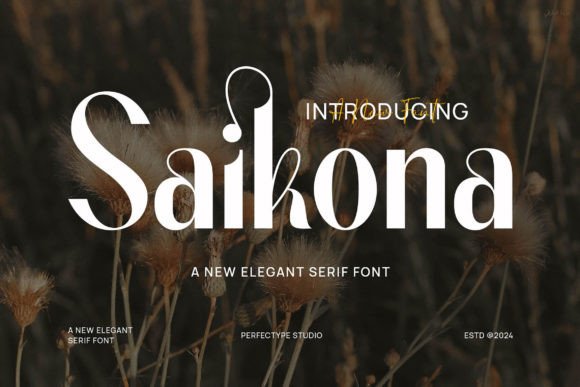 Saikona: The Modern Display Font for Marketing Campaigns